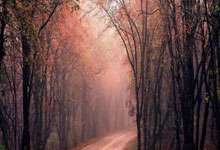 多项数据全场最高,安东尼晒照:太棒了!为这支球队感到自豪.