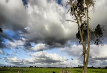 问鼎娱乐:B费:如果选择一个主罚点球来拯救命运的人,大多数人会说C罗.