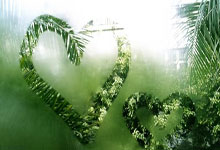 雄鹿17分逆转横扫送76人十连败 字母哥35+17+20历史唯一.